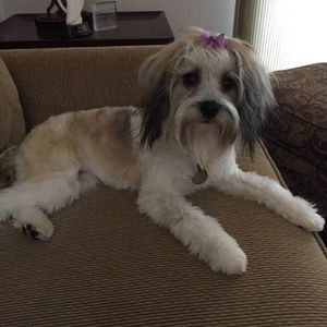 Meet your Posher, Mary